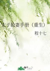 被太子抢婚之后30