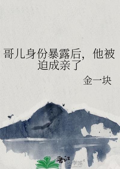 主角是哥儿的