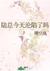 陆总今天沦陷了吗by晴空岚TXT