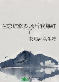 在恋综修罗场后我爆红了番外未知秃头生物gl