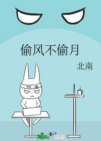 偷风不偷月免费读