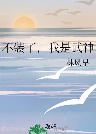 我是武神晋江