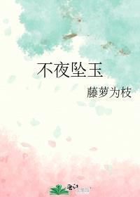 不夜坠玉结局