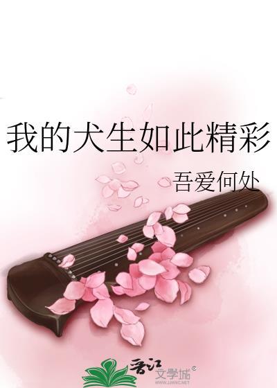 无别之夏讲什么