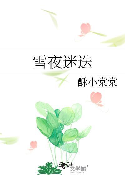 雪夜迷迭TXT