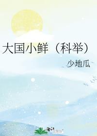 大国小鲜科举txt