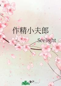 作精小夫郎 Seelight