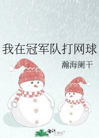 打网球的冠军叫什么