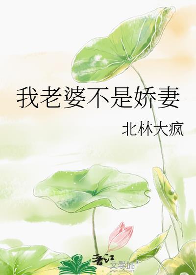 我老婆不是娇妻晋江