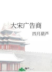 大宋广告商by百度