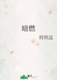 暗燃百度TXT