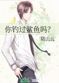 你钓过鲨鱼吗讲的什么