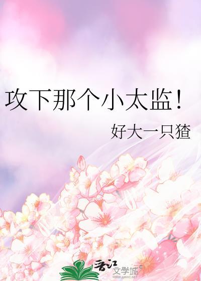 攻下那个小太监大结局