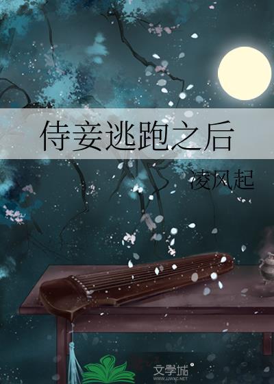 小妾逃了