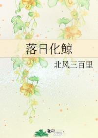 落日化鲸北风三百里免费阅读