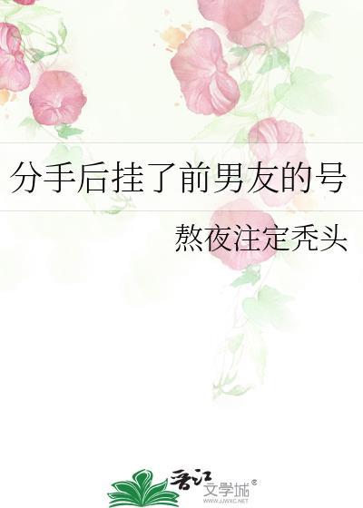 分手后挂了前男友的号txt