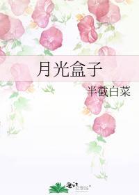 月光盒子txt百度番外