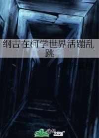 纲吉在其他世界