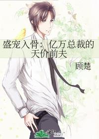 盛宠入骨亿万总裁的天价前夫by顾楚