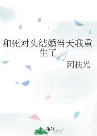 和死对头结婚当天我重生了阿夫光免费阅读