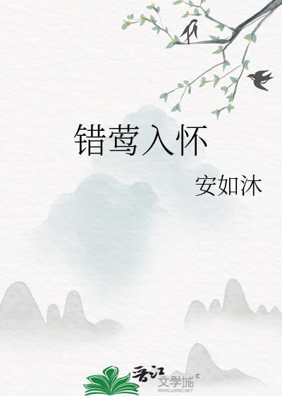 错入是什么意思