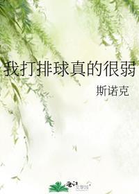 我打排球真的很弱txt