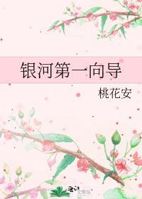 或有情 番外