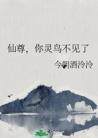 你鸟没了免费阅读