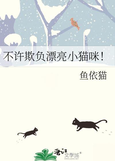 不许欺负漂亮小猫咪