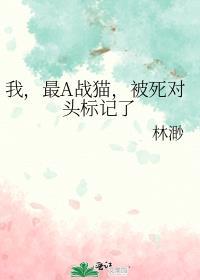 被死对头标记了番位