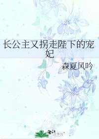 长公主殿下嫁到