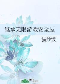 继承者游戏简介