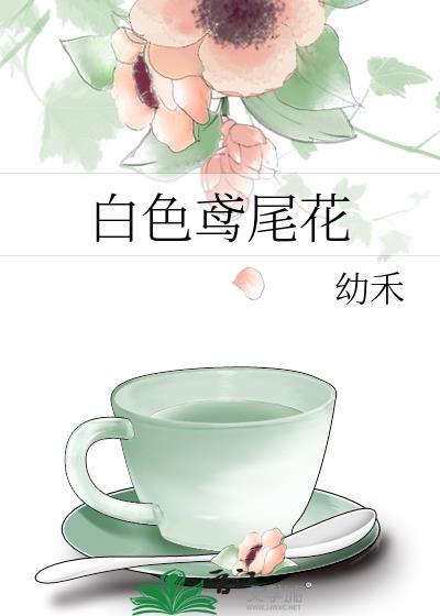 白色鸢尾花雕塑代表什么