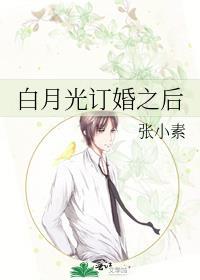 白月光订婚之后 张小素