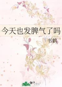 今天也发脾气了吗书鹤
