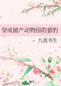 穿成破产动物园的猎豹百度TXT