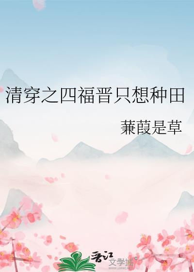 清穿四福晋的文