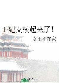 王妃全文阅读