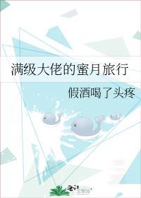 满级大佬的蜜月旅行晋江