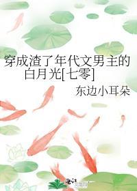 穿成渣了年代文男主的白月光七零txt