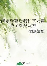 绑定弹幕系统后我和反派he了