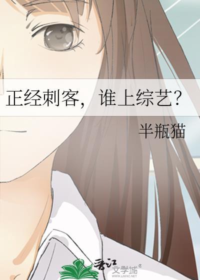 刺客正传剧情