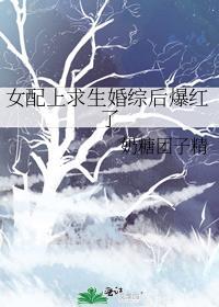 女配上求生婚综后爆红了免费阅读