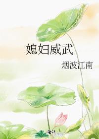 媳妇武力值太高怎么破 作者对影成单