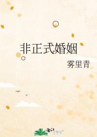非正式婚姻雾里青免费阅读