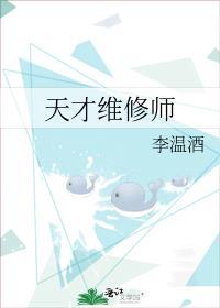 天才维修师百度TXT