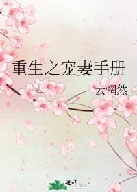 重生宠妻指南