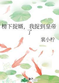 榜下捉婿全文免费