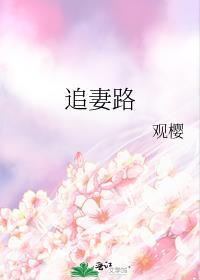 追妻路漫漫