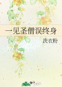 一见圣僧误终身TXT